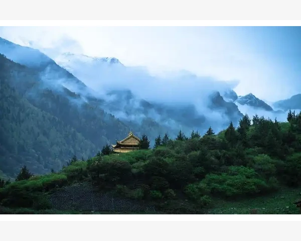 儿童脾胃虚面色黄的调理方法全解析
