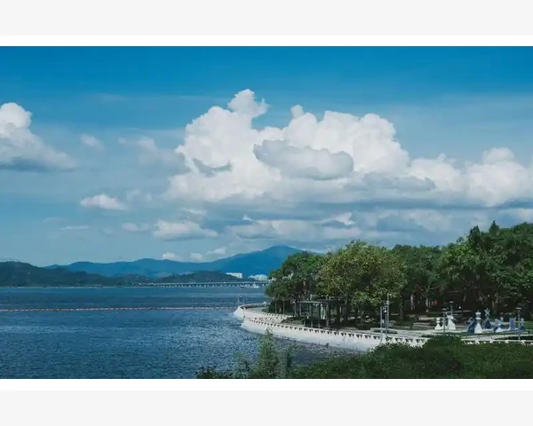 B2B黄渤跨界解读企业采购新玩法